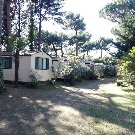 Villaggio Mithos ميسانو ادرياتيكو المظهر الخارجي الصورة